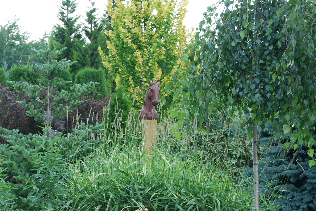 Projektowanie ogrodów - ogród przy lesie