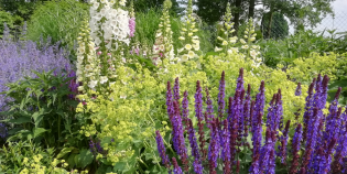 projektowanie ogrodów - bylinowy raj