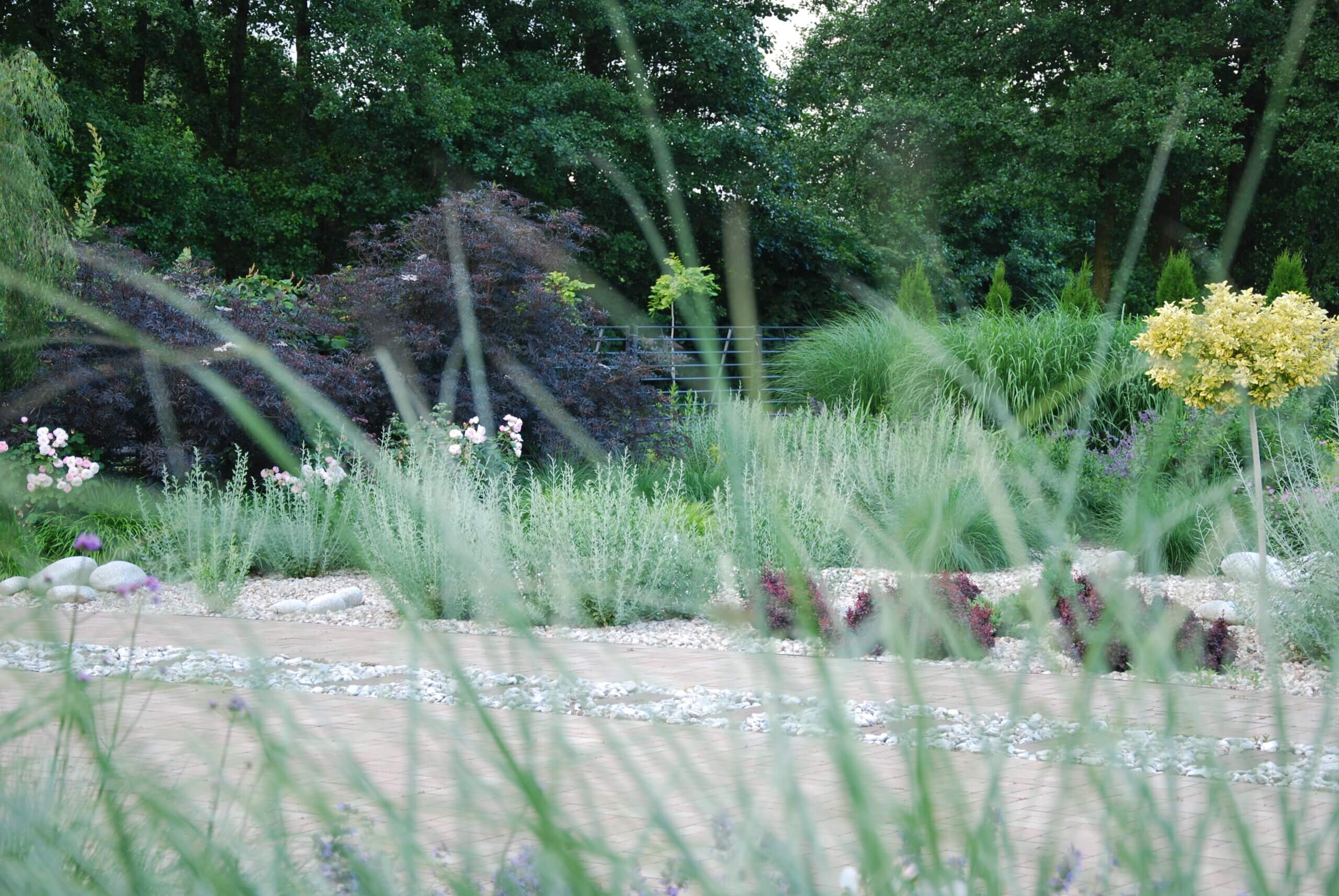 DSC_9644