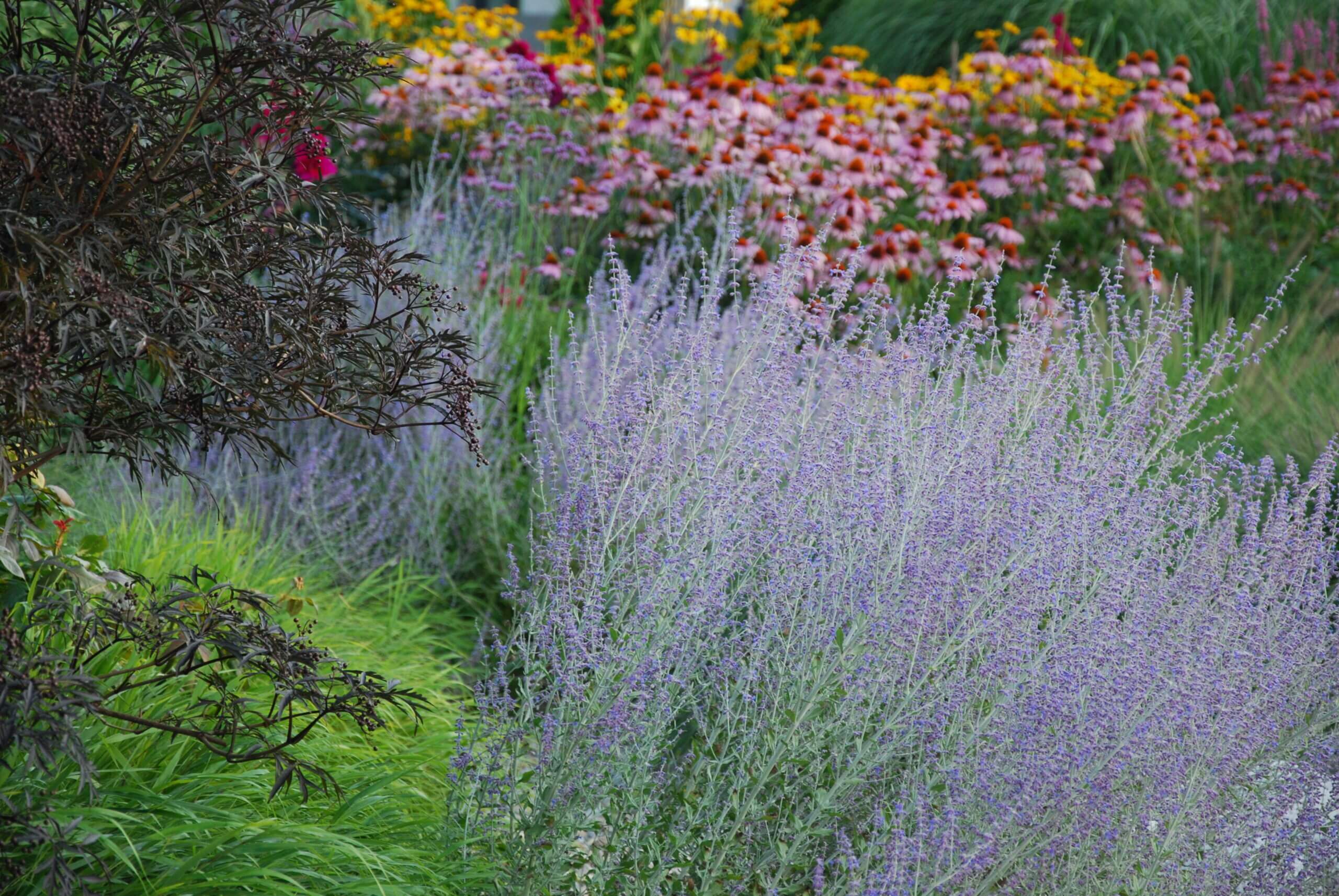 DSC_9996