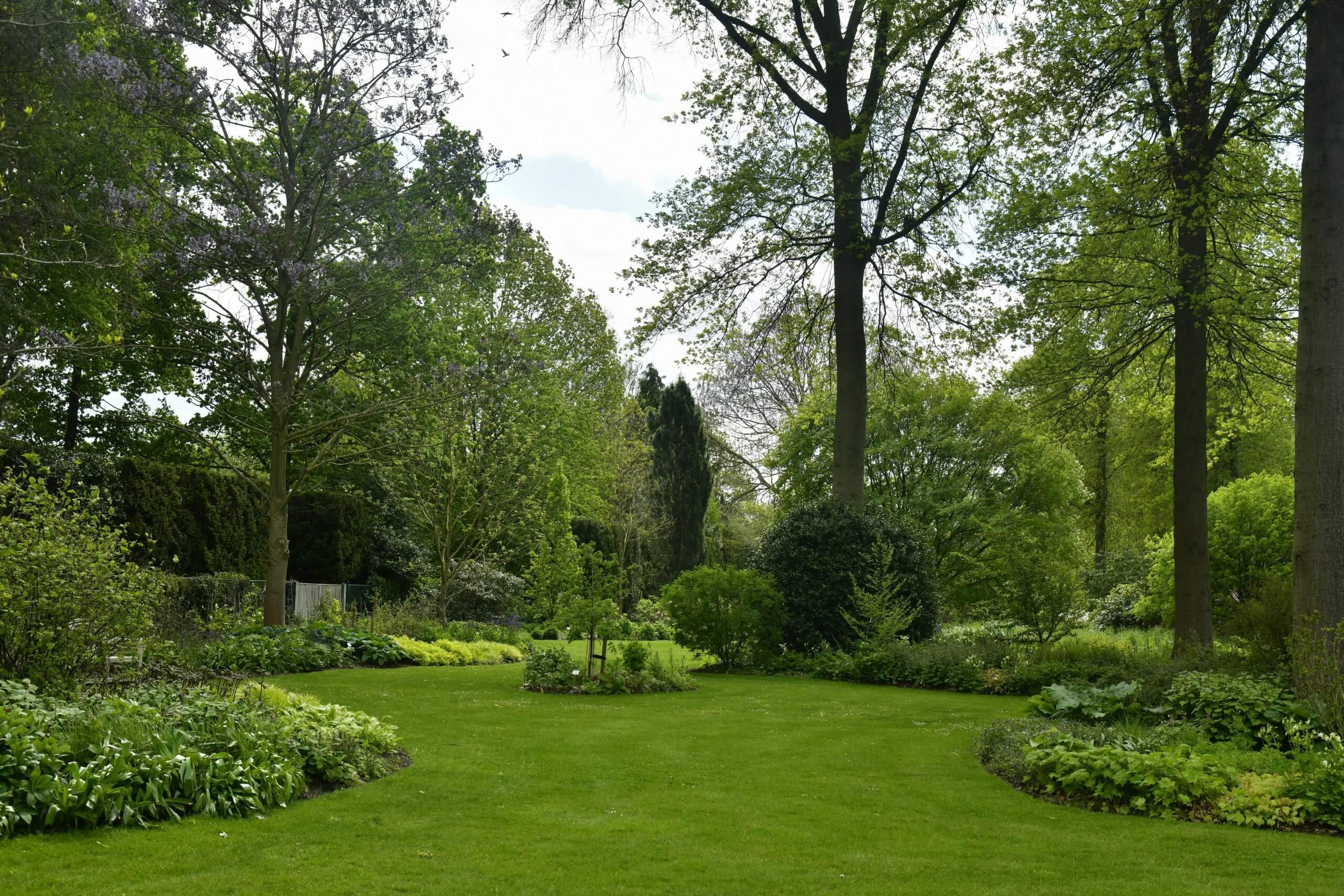 Projektowanie ogrodów - ogród leśny