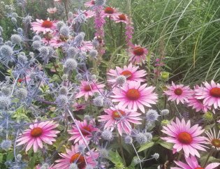 Ogrody Luizy - kontakt