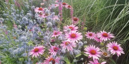 Ogrody Luizy - kontakt