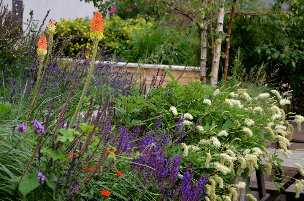 Projektowanie ogrodu