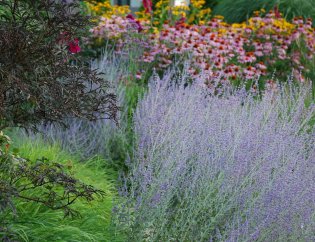 kompozycja z perowskią