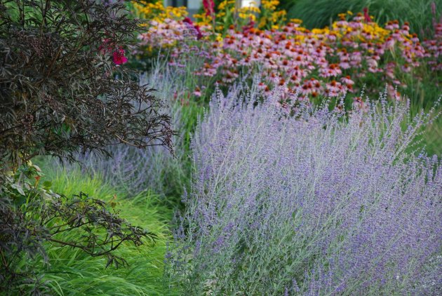 kompozycja z perowskią